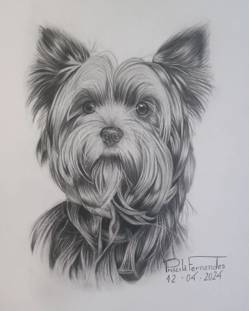 Exemplo de trabalho com desenhos realistas sob encomenda feito pela desenhista Priscila Fernandes.
