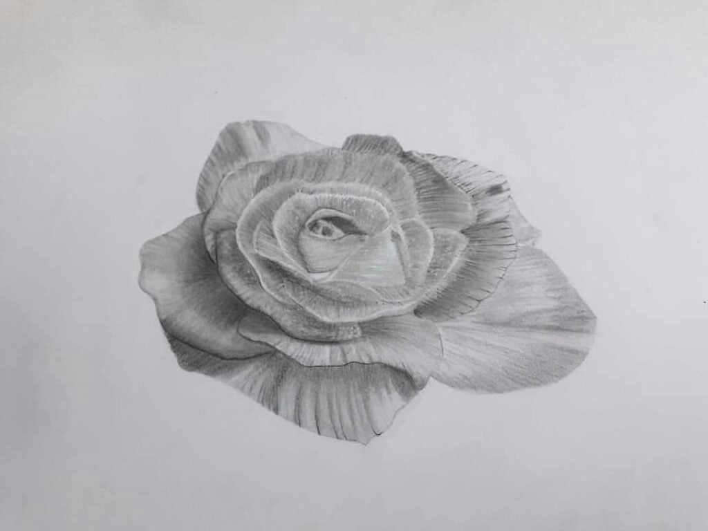Arte de uma flor feita pelo desenhista Arthur Dabela, ilustrando os desenhos realistas mais fáceis.