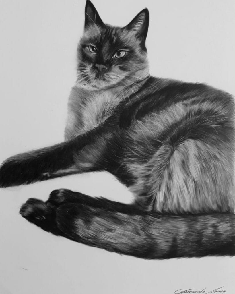 Desenho realista de um gato feito pelo desenhista Fernando Sousa, ilustrando uma das dicas sobre motivação para desenhar.