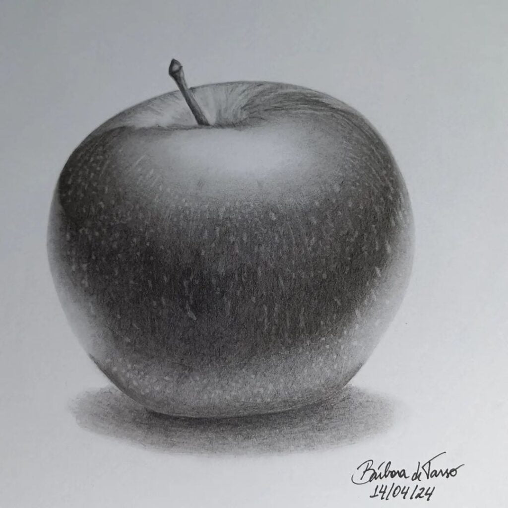Desenho realista de uma maçã feito pela desenhista barbara de tarso, ilustrando as frutas mais fáceis de desenhar.