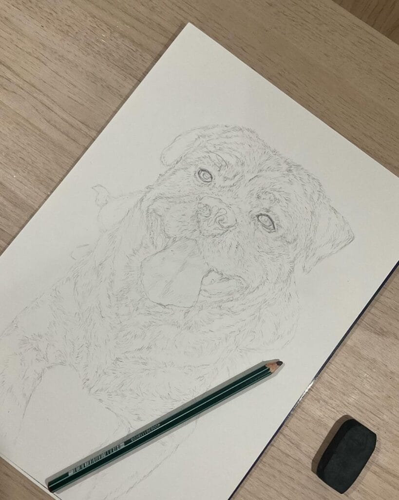Esboço do desenho realista de um cachorro feito pela desenhista Vitoria, ilustrando a importância de aprenderem a esboçar para começarem no realismo.