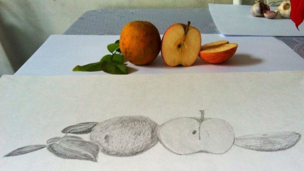 Três frutas que desenharam olhando ao vivo, ilustrando um desenho de observação.