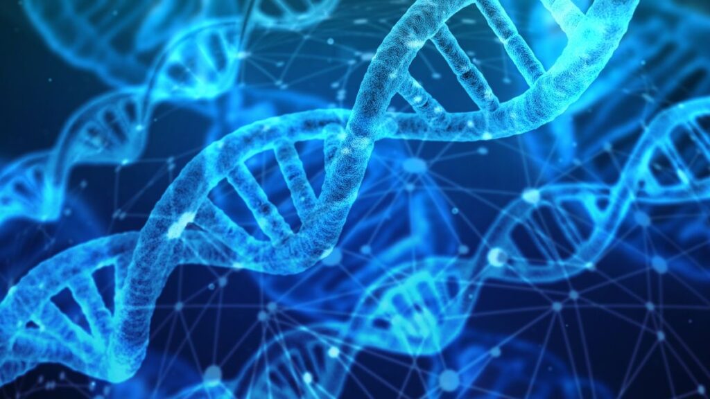 Visão microscópica do DNA, ilustrando desenhar sem dom.