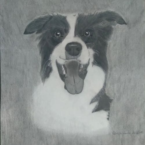 Desenho realista de um cachorro feito pela desenhista Patrícia Vieira.